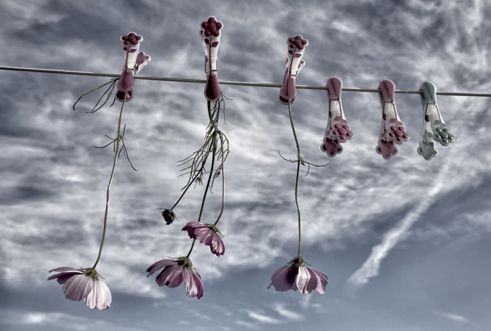 Hanging Cosmos Sky by Yvette Depaepe — canvas wall art