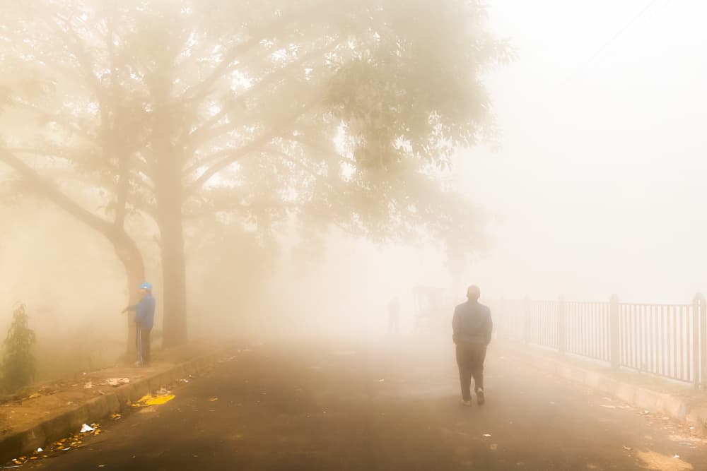 Foggy Morning Walk by Subhajit Das — canvas wall art