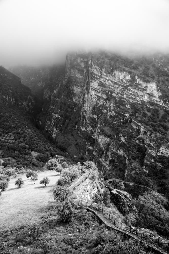 Misty Canyon Path by Photolovers — canvas wall art