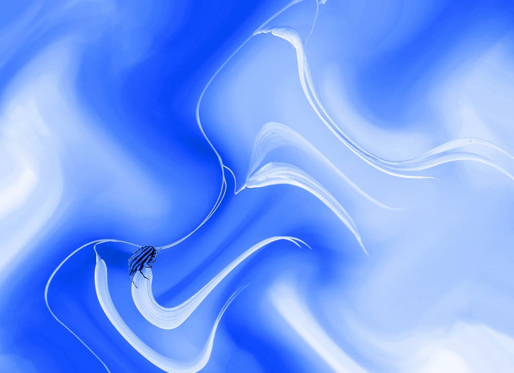 Serene Blue Insect Swirl by Thierry Dufour — canvas wall art
