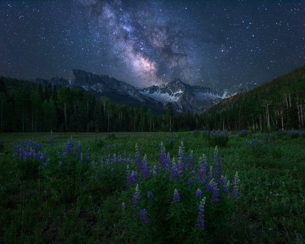 Starry Mountain Lupine Field by Mei Xu — canvas wall art