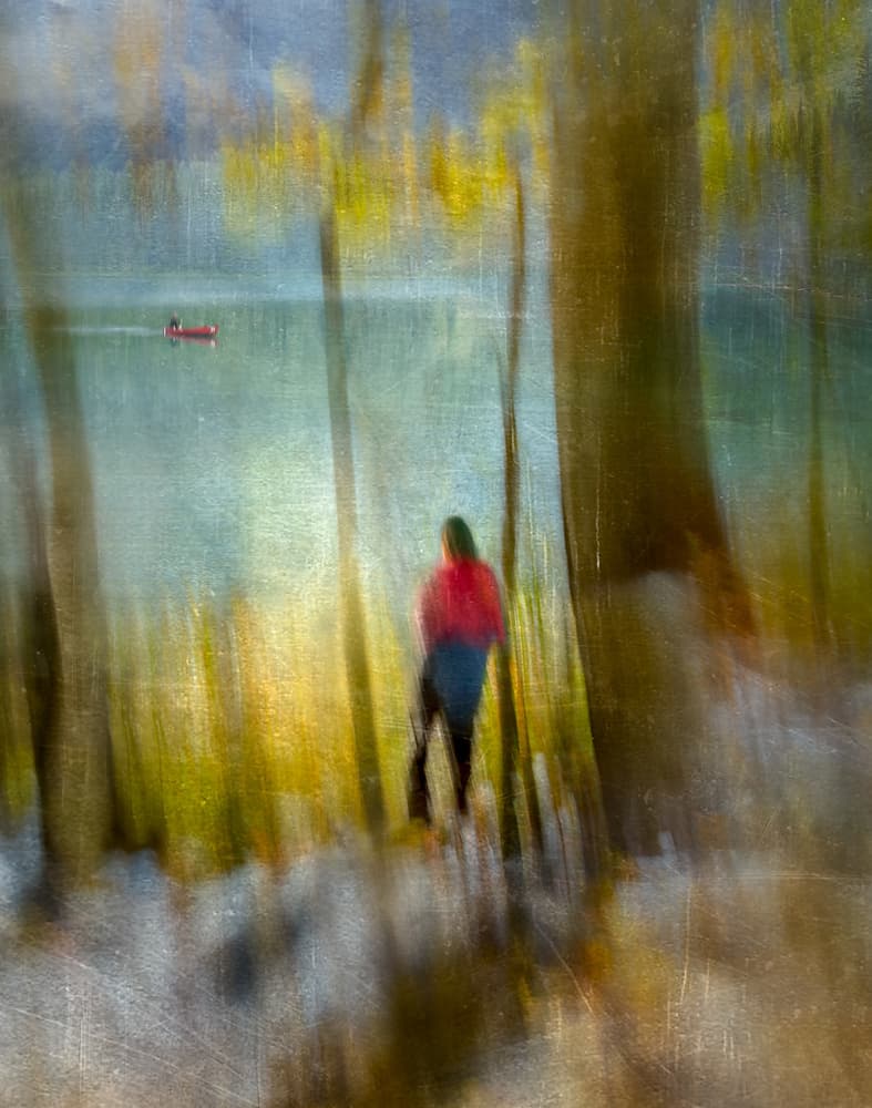 Solitary Forest Lake View by Shenshen Dou — canvas wall art