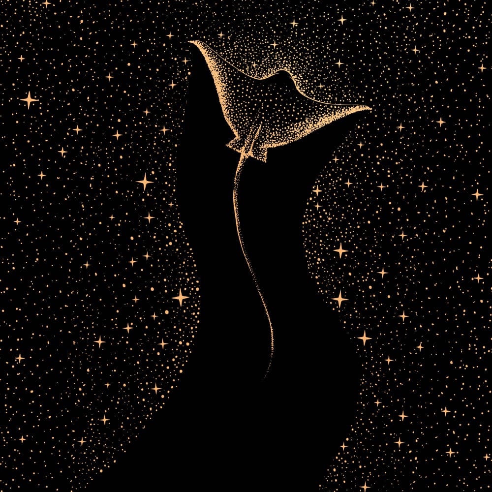 Starry Manta Ray by Alirıza ÇAKIR — canvas wall art
