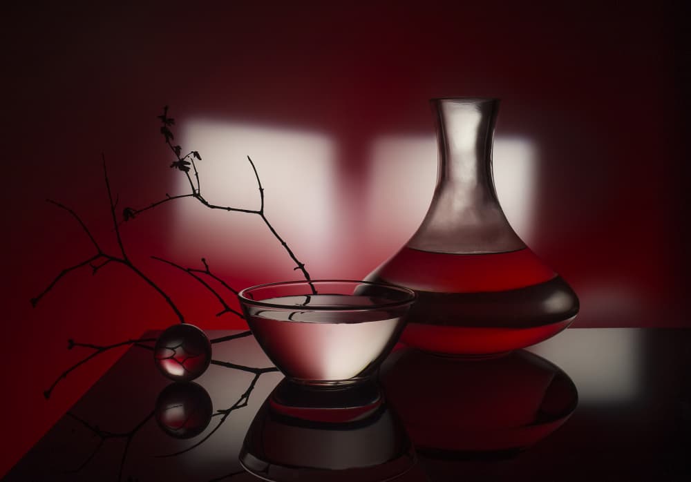 Red Decanter Dark Branches by Evgeniy Popov — canvas wall art