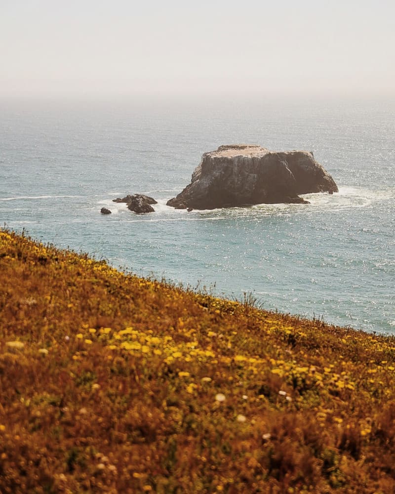Misty Coastal Rock Bloom by Del Mundo Portraits — canvas wall art