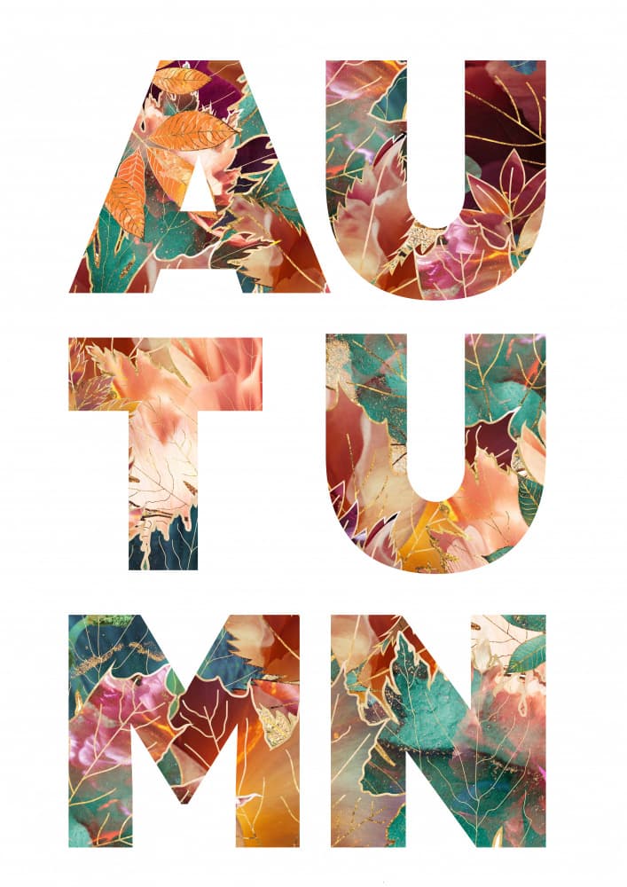 Autumn Leaves Typography by Sarah Manovski — canvas wall art