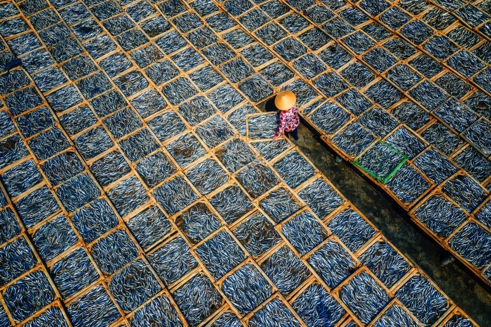 Traditional Fish Drying by Nguyen Tan Tuan — canvas wall art