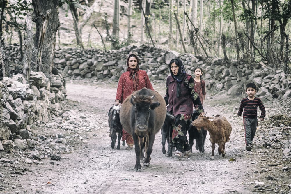 Mountain Village Herding by Marcel Rebro — canvas wall art
