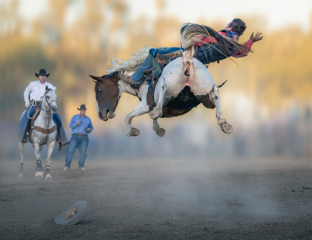 Rodeo Cowboy Falling by Frank Ma — canvas wall art