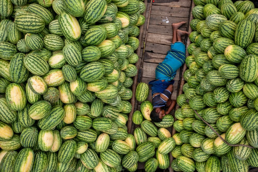 Resting Among Watermelons by Azim Khan Ronnie — canvas wall art