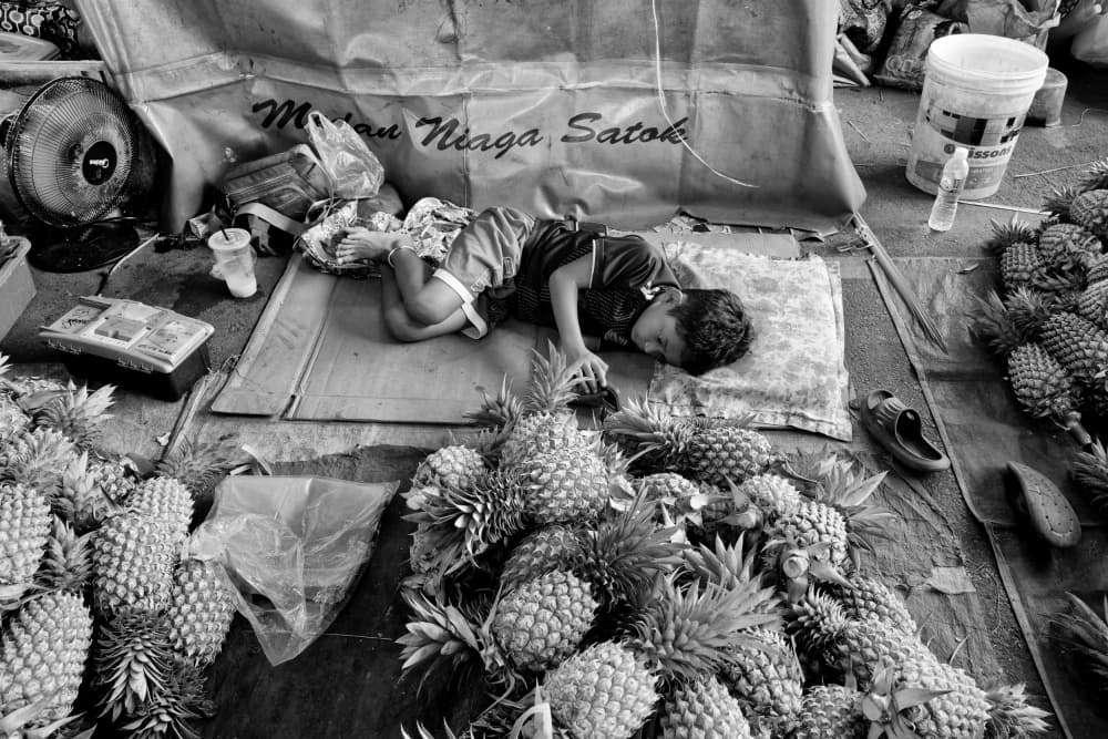 Sleeping Among Pineapples by Kieron Long — canvas wall art