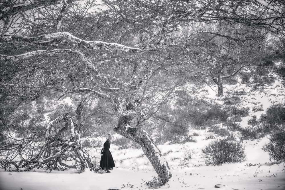Woman in Snowy Woods by KOIKI — canvas wall art