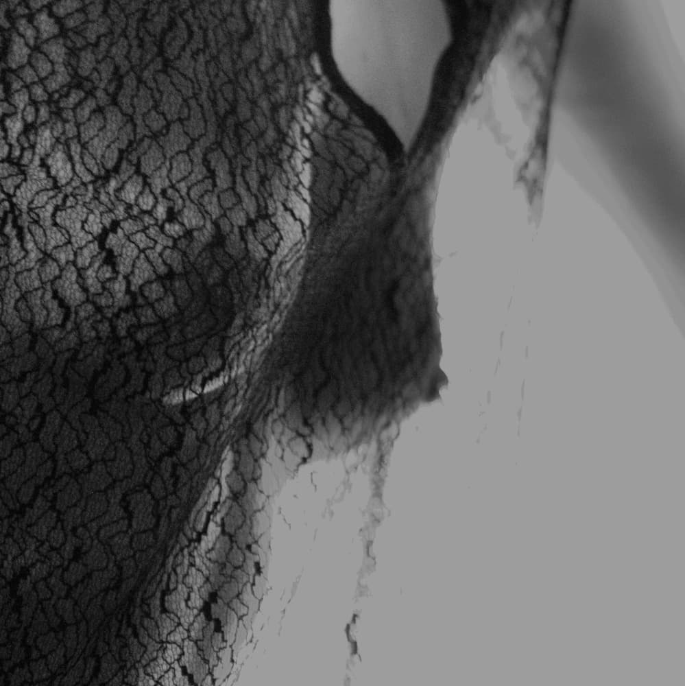 Elegant Lace Texture by Bogdan Bouşcă — canvas wall art