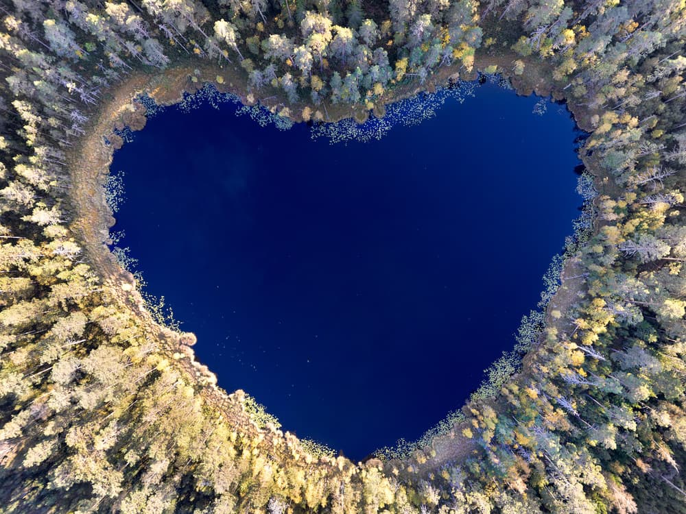 Heart Shaped Forest Lake by Christian Lindsten — canvas wall art