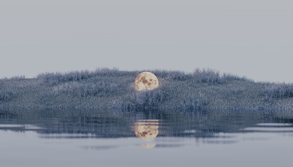Serene Moon Reflection by Javier Pardina — canvas wall art