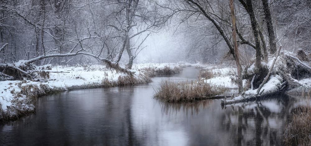 Misty Winter Stream by Norbert Maier — canvas wall art