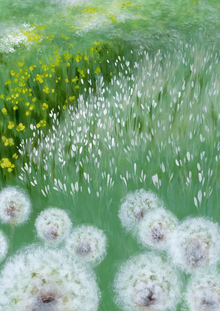Dandelion Meadow Bloom by Rosana Laiz Blursbyai — canvas wall art