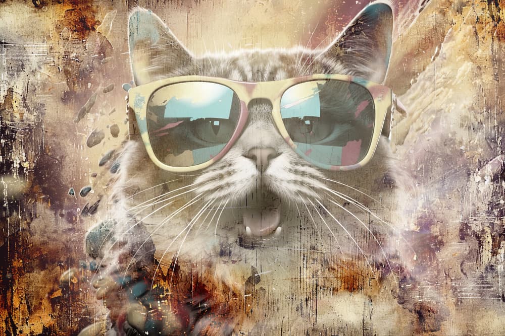 Groovy Cat Portrait by Rafal Kulik — canvas wall art