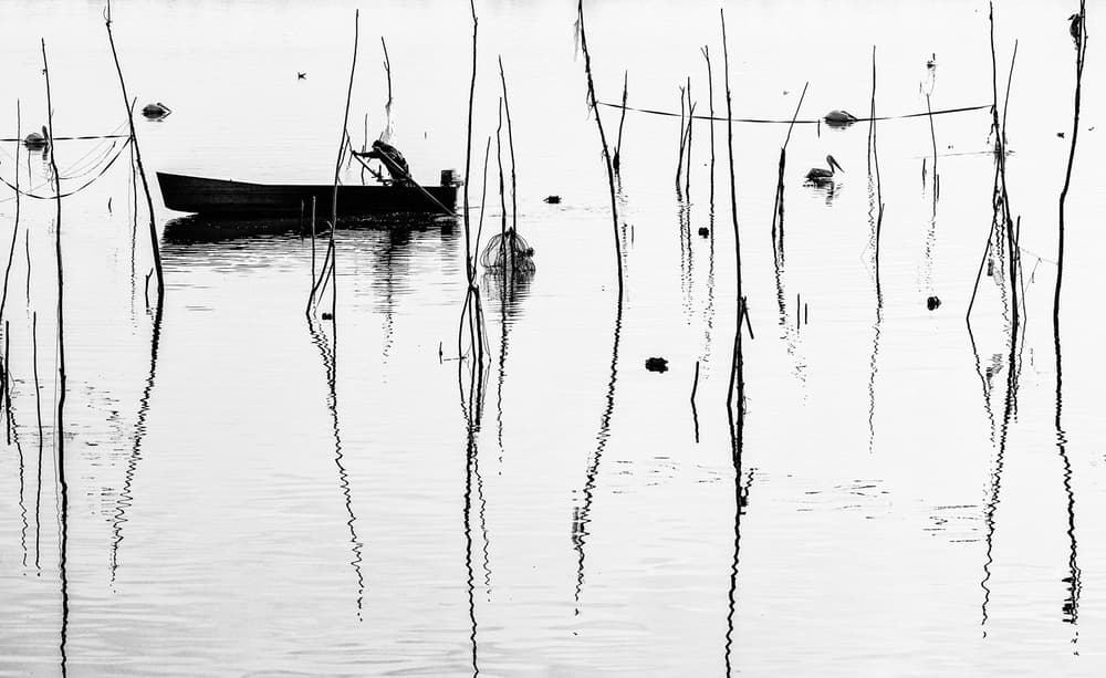 Pelican Boat Reflections by Zhecho Planinski — canvas wall art