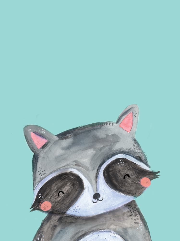 Cute Raccoon Smile by Laura Pantony — canvas wall art