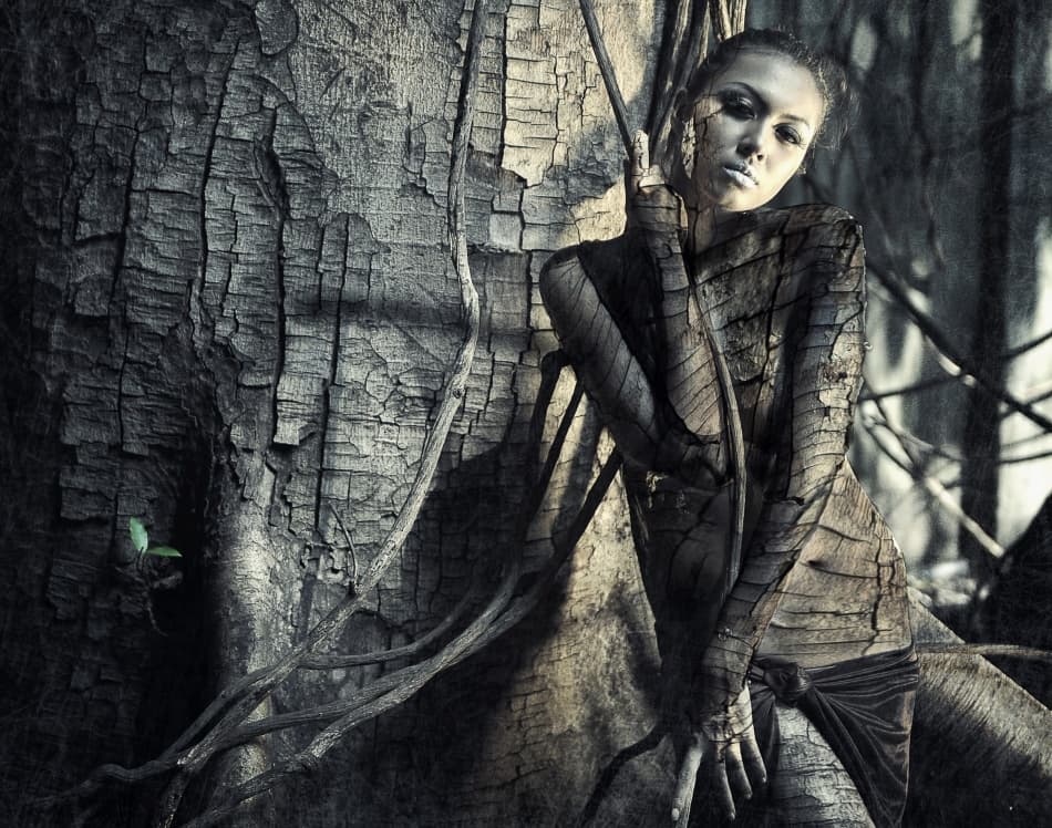 Mysterious Forest Woman by hardibudi — canvas wall art