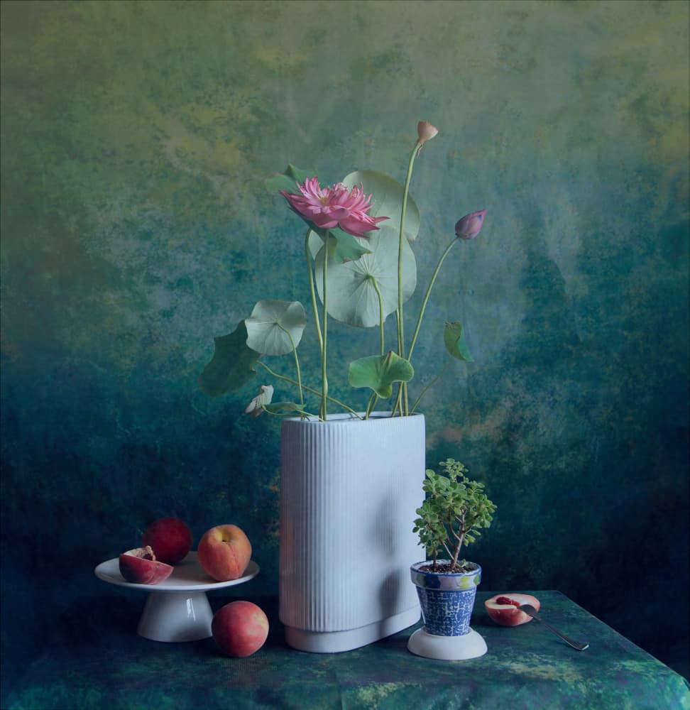 Serene Lotus Still Life by Fangping Zhou — canvas wall art