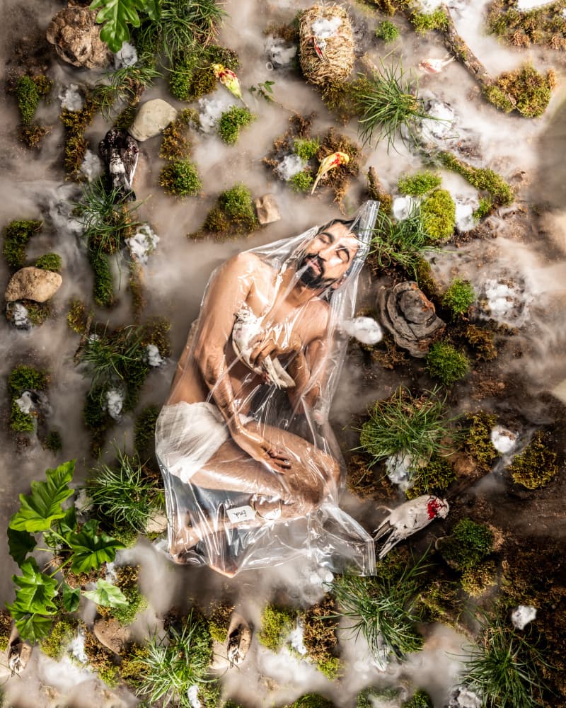 Nature's Plastic Cage by Hooman Sedaghi — canvas wall art