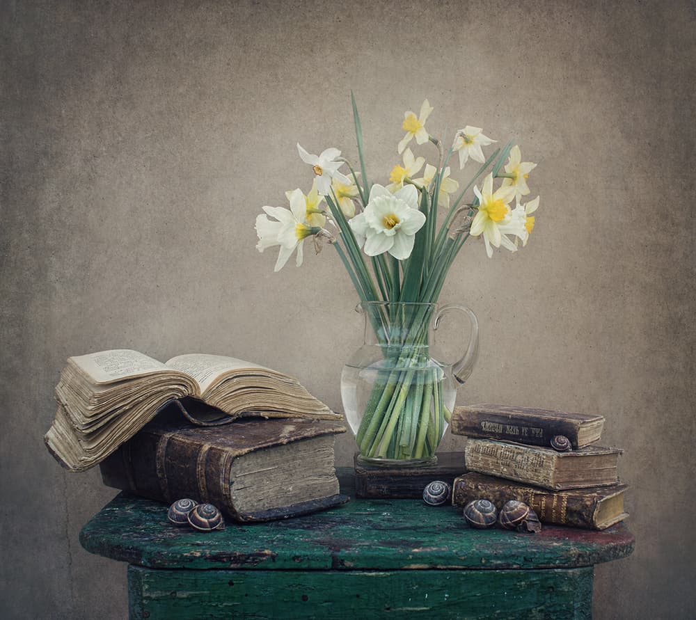 Spring Daffodils and Books by Dimitar Lazarov - Dim — canvas wall art