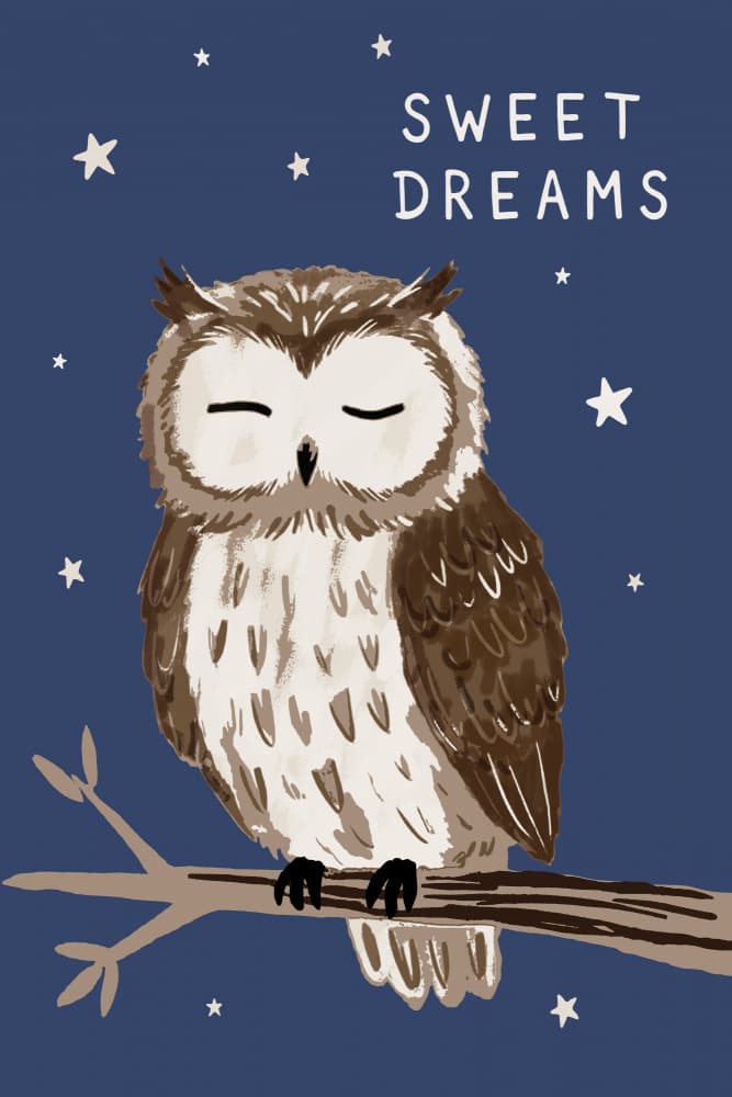 Sweet Dreams: Sleeping Owl by casa cartissi — canvas wall art