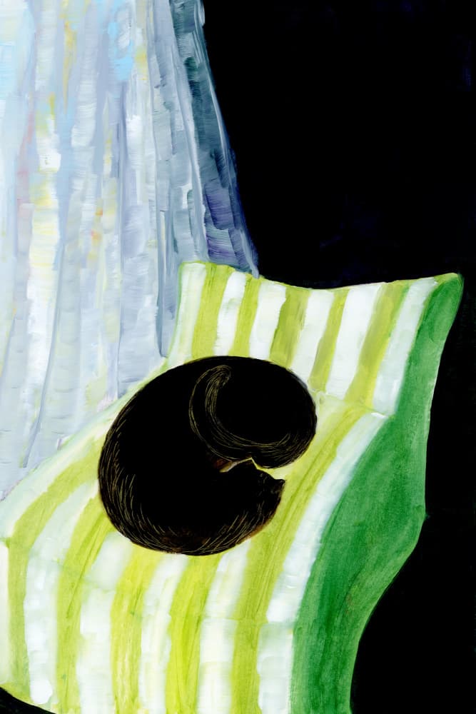 Sleeping Black Cat by Rosana Laiz Blursbyai — canvas wall art