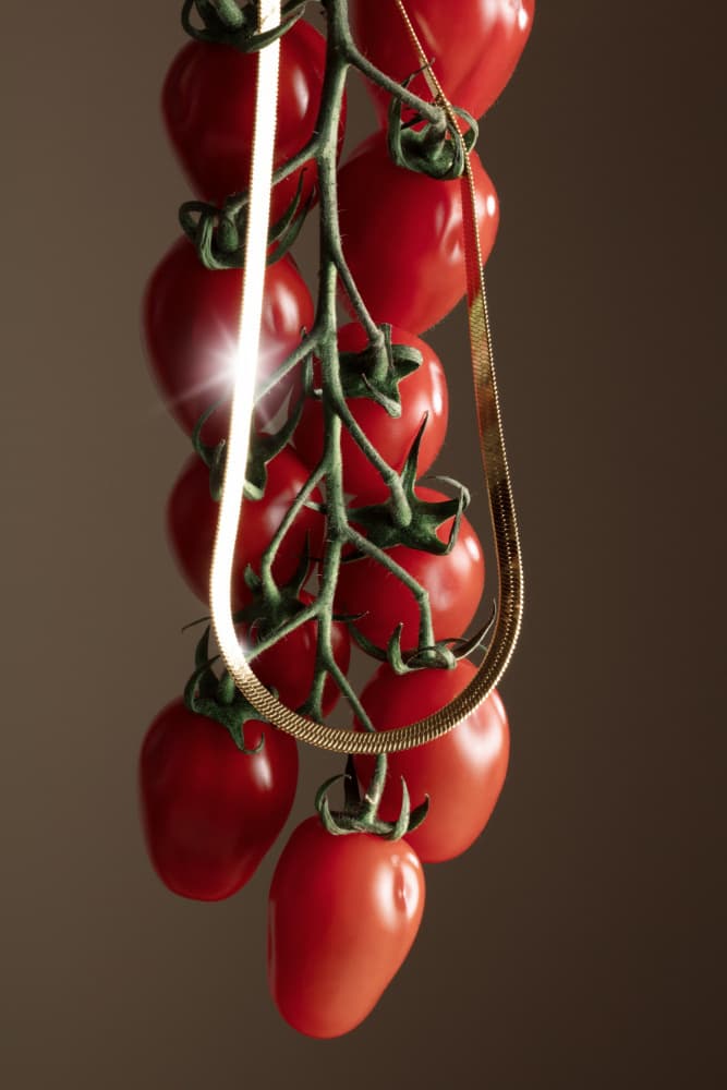Fresh Tomato Gold Shine by Julia Ramiro — canvas wall art