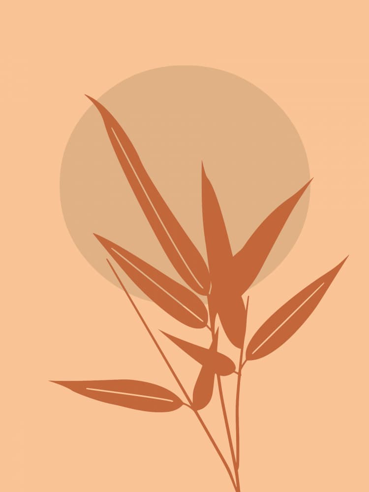 Desert Sun Bamboo by Little Dean — canvas wall art