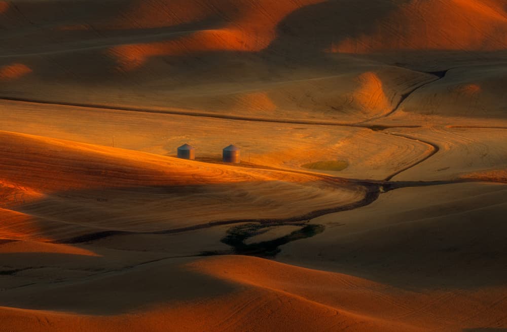 Golden Rolling Fields by James Lu — canvas wall art