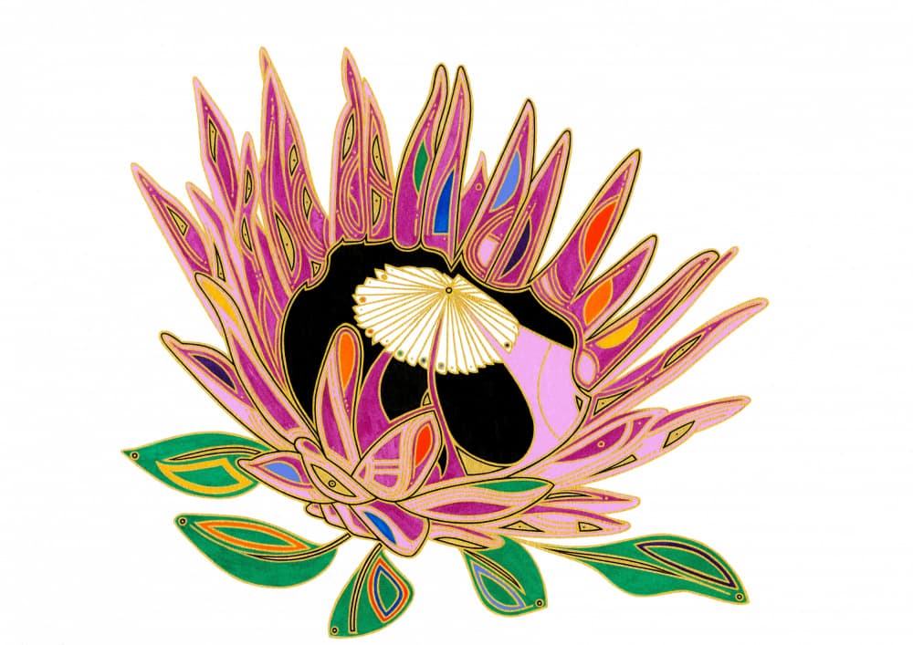 Vibrant Protea Bloom by Iona Gilburt — canvas wall art