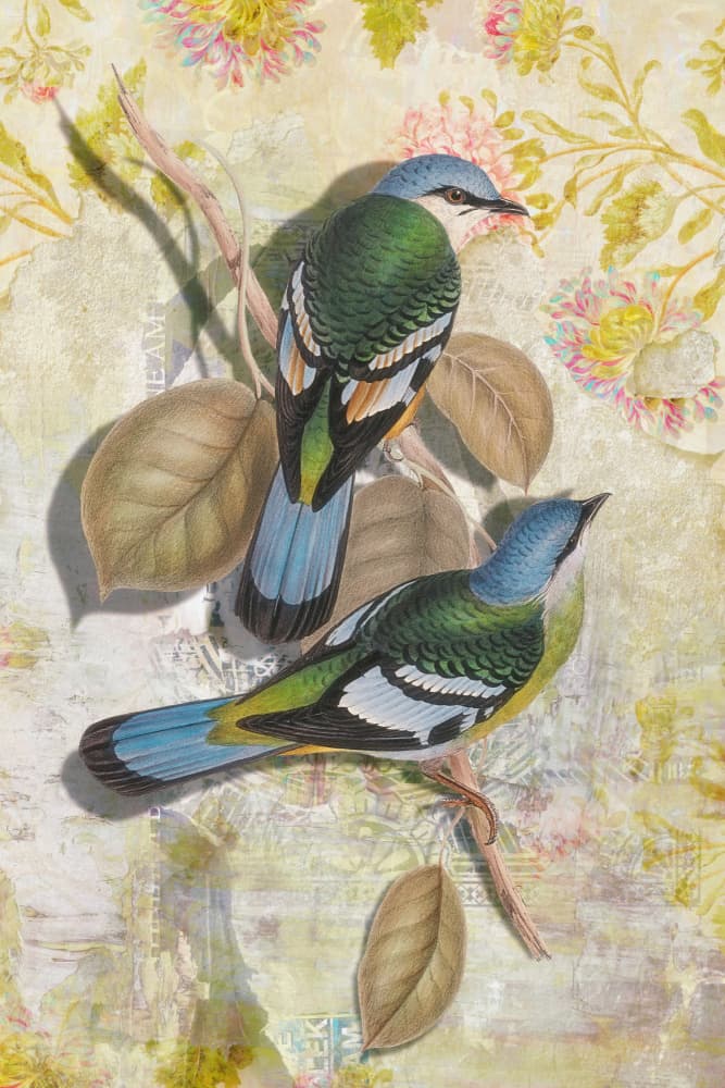 Whimsical Tropical Birds by Marja van den Hurk — canvas wall art
