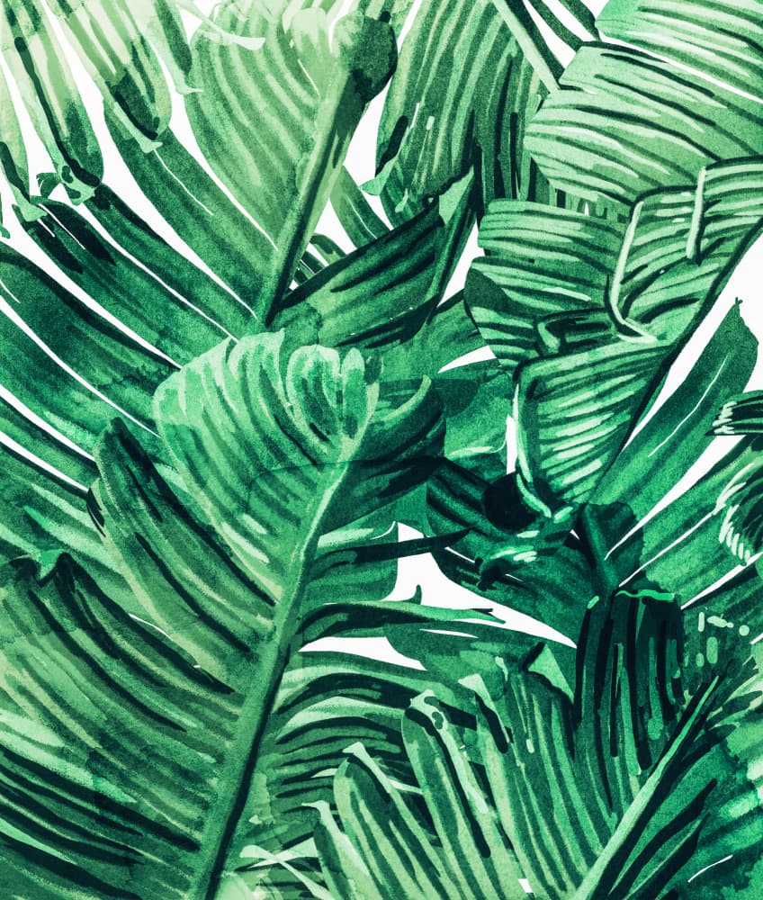 Lush Tropical Leaves by Uma Gokhale — canvas wall art