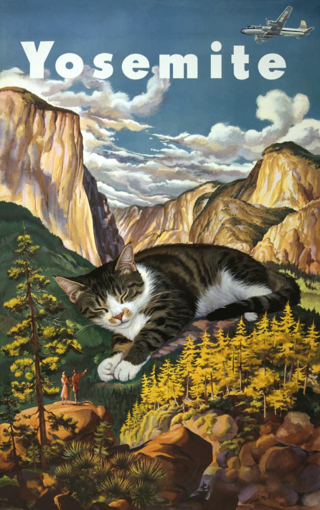 Yosemite Catnap by Marja van den Hurk — canvas wall art