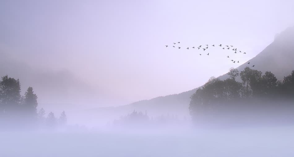 Misty Mountain Flight by Norbert Maier — canvas wall art
