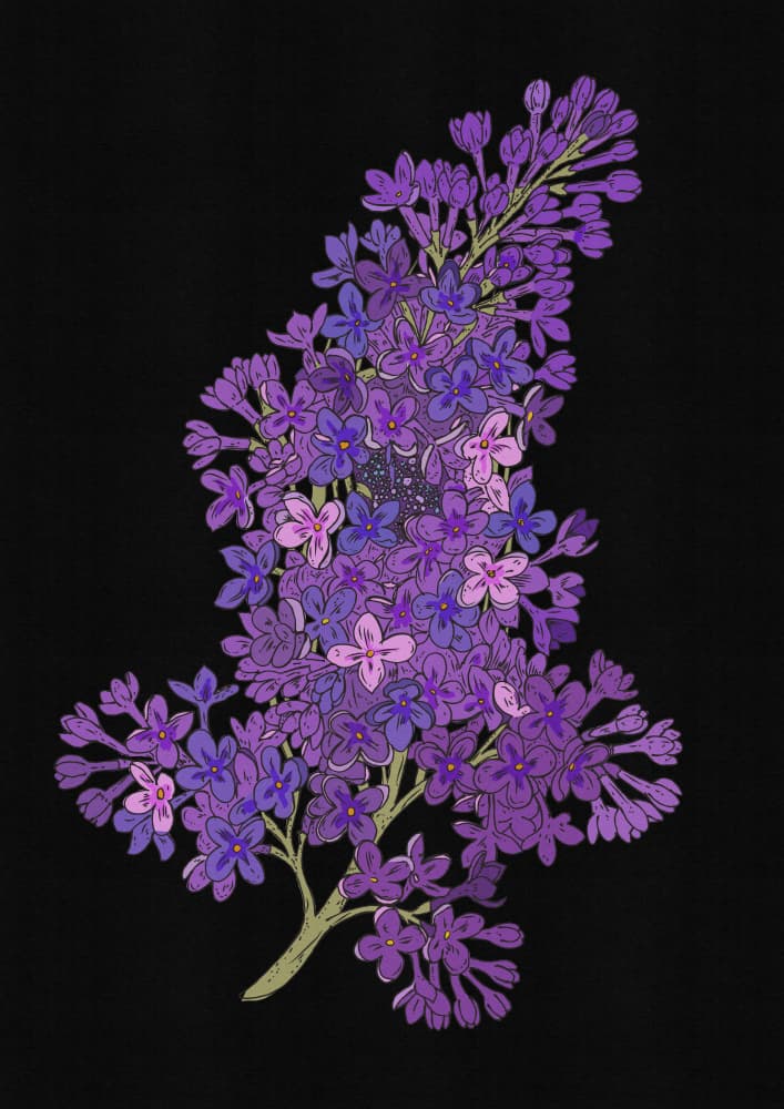 Deep Purple Lilacs by Nicholas — canvas wall art