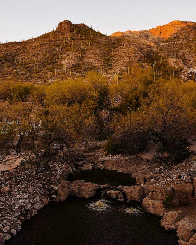 Desert Mountain Oasis by Del Mundo Imagery — canvas wall art