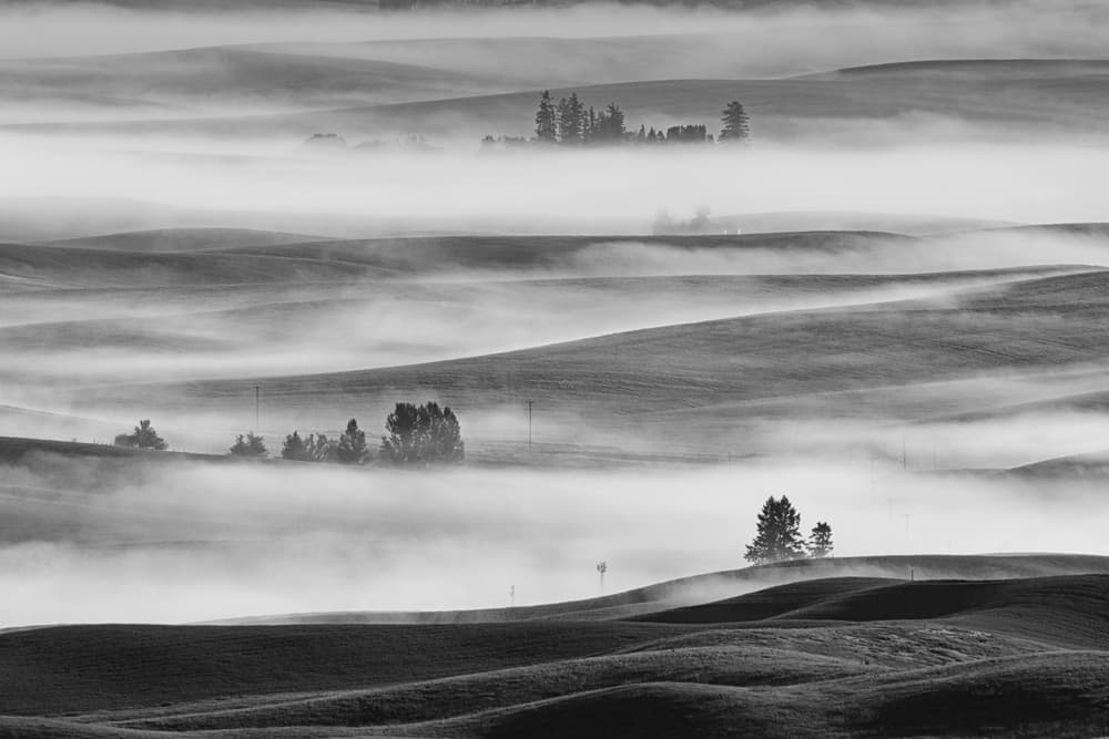 Misty Rolling Hills by 李从军 / Austin Li — canvas wall art