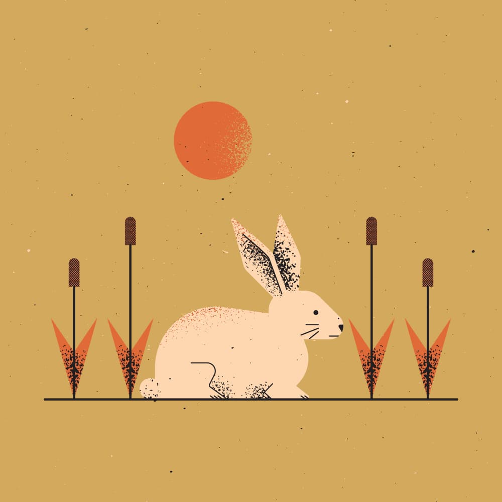 Rabbit Under Desert Sun by The Creating Mind — canvas wall art