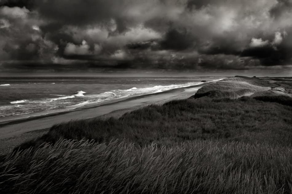 Windswept Coastal Dunes by Niels Christian Wulff — canvas wall art