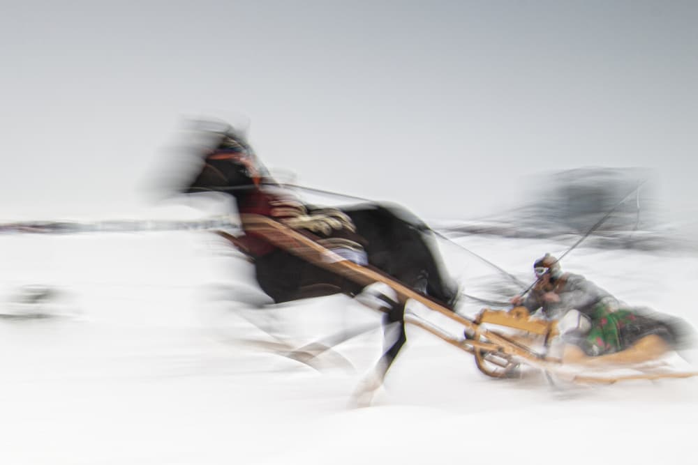 Dynamic Snow Horse Race by Dusan Ignac — canvas wall art