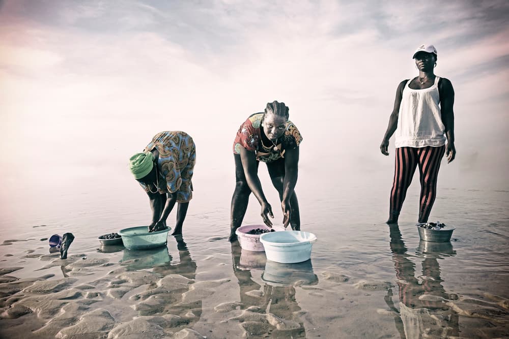 Women Gathering Shells by Elena Molina — canvas wall art