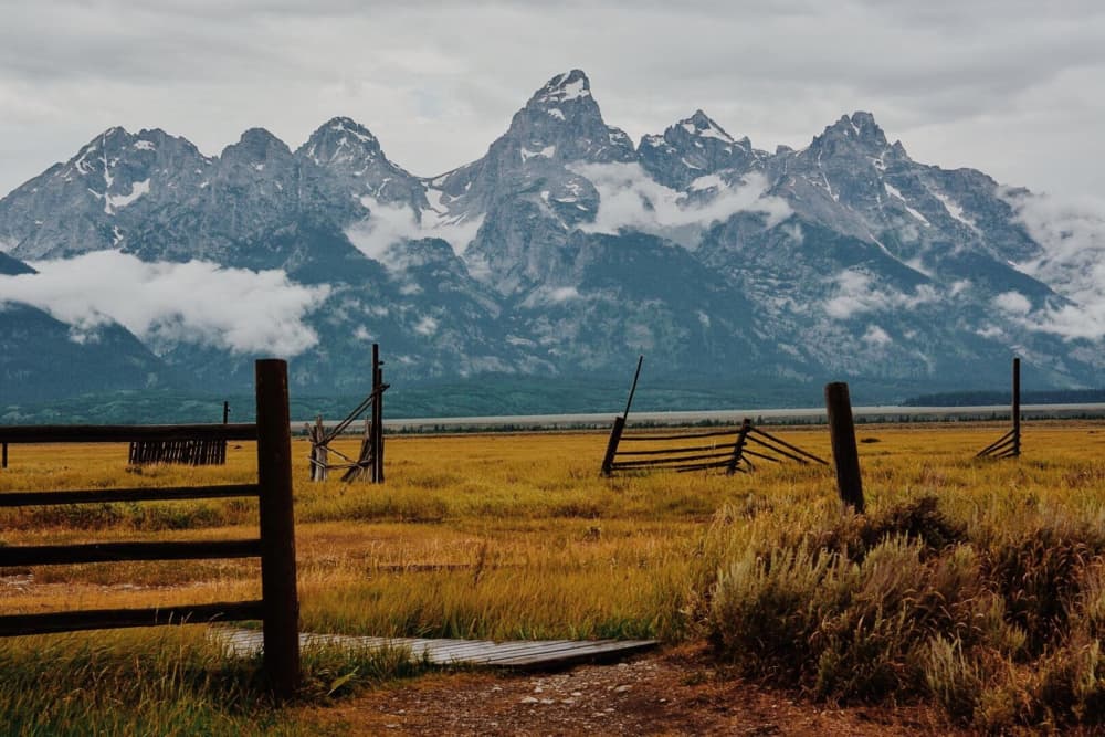 Majestic Mountains Golden Field by Del Mundo Portraits — canvas wall art