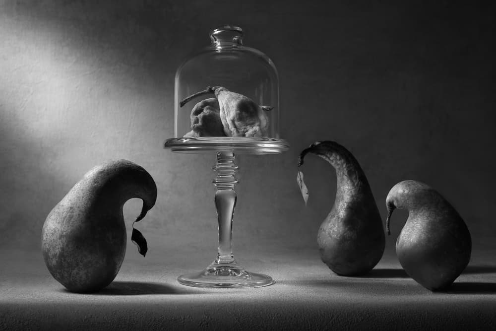 Melancholy Pears Still Life by Victoria Glinka — canvas wall art