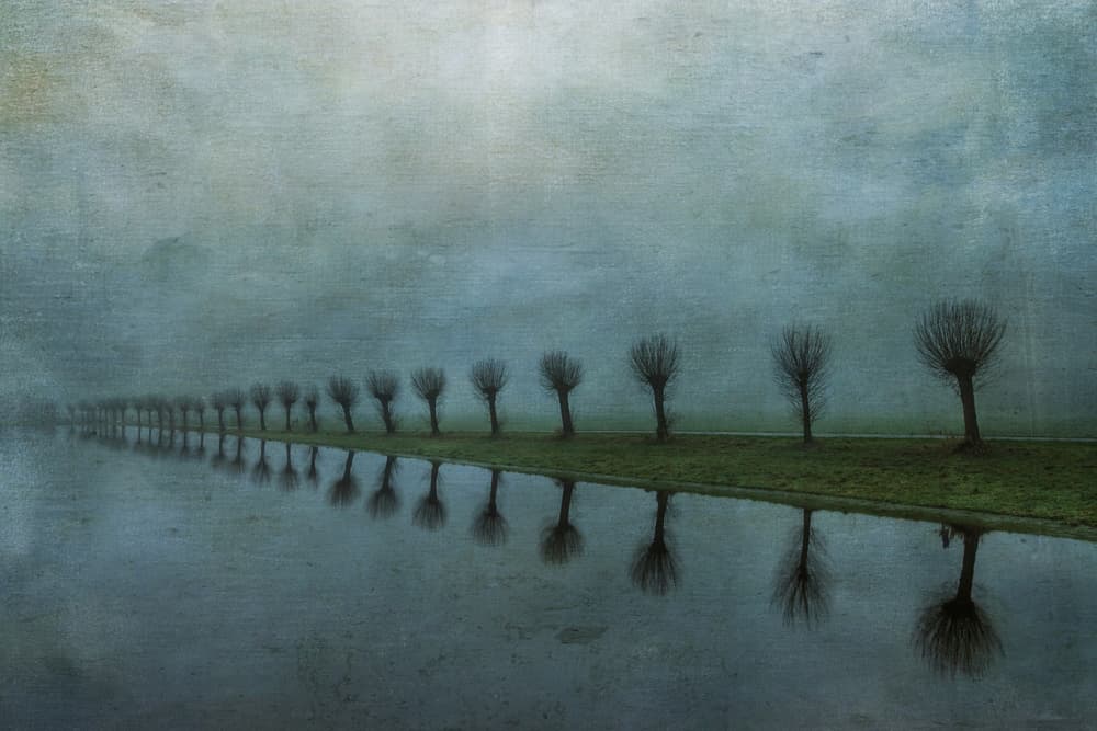 Misty Tree Reflections by Ytje Veenstra — canvas wall art