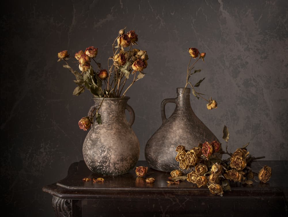 Dried Roses Still Life by Margareth Perfoncio — canvas wall art