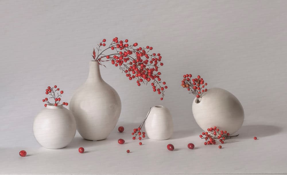 Red Berries White Vases by May G — canvas wall art